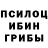 ТГК жижа Shion Yorigami