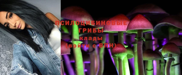 ешки Бородино