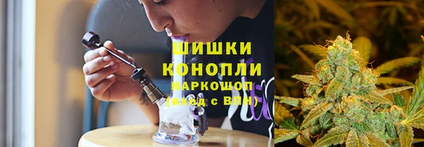 ешки Бородино