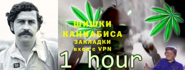 ешки Бородино