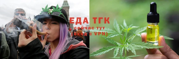 ешки Бородино