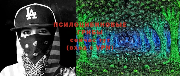 тгк Бронницы